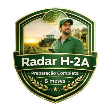 Radar H-2A, preparação completa por 6 meses